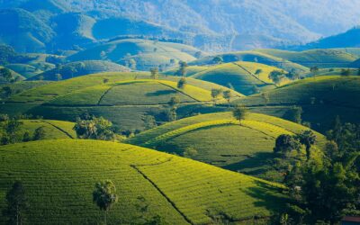 Unique Experiences Only in Vietnam