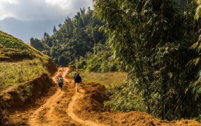 Best Hiking Trails for Nature Lovers in Vietnam